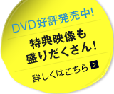 DVD�D�]�������I���T�f�������肾������I