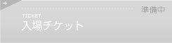 入場チケット