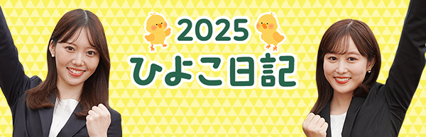ひよこ2025