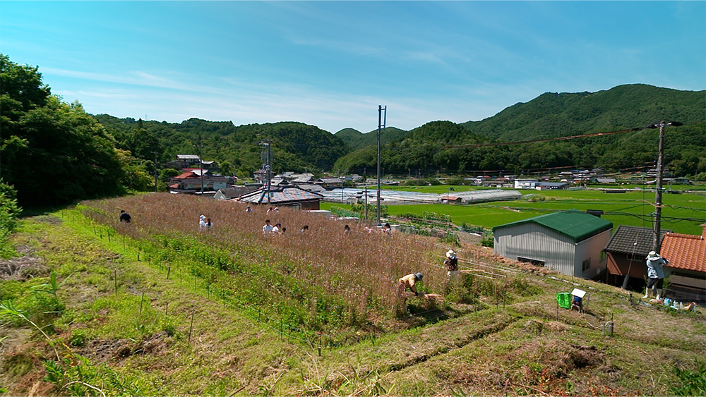 写真