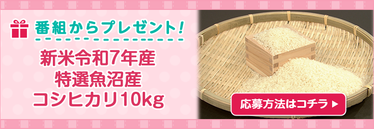 DAIGOも台所プレゼント