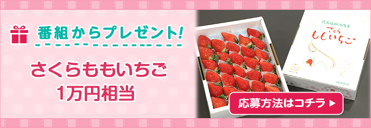 DAIGOも台所プレゼント