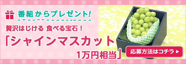 DAIGOも台所プレゼント