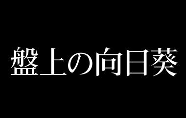盤上の向日葵