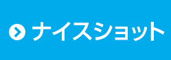 ナイスショット