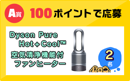 A賞 100ポイントで応募