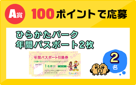 A賞 100ポイントで応募