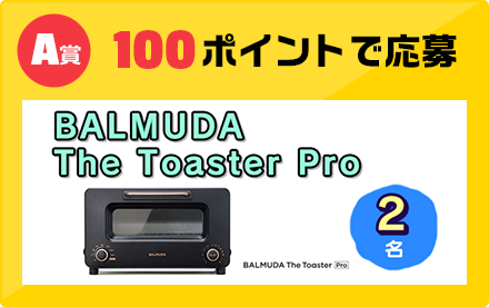 A賞 100ポイントで応募