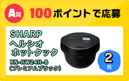 A賞 100ポイントで応募
