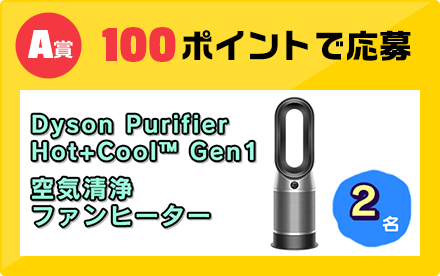 A賞 100ポイントで応募