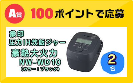 A賞 100ポイントで応募