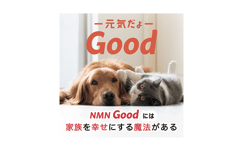 NMN Good / モアリッチ