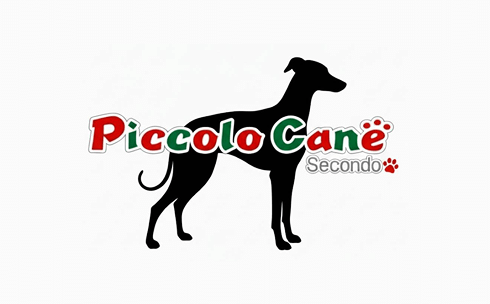PiccoloCane‐secondo