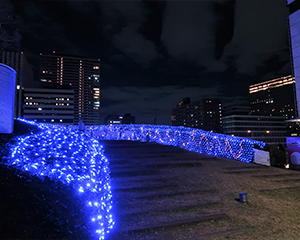 中之島ウエスト・冬ものがたり2025