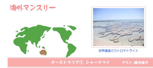 海外マンスリー